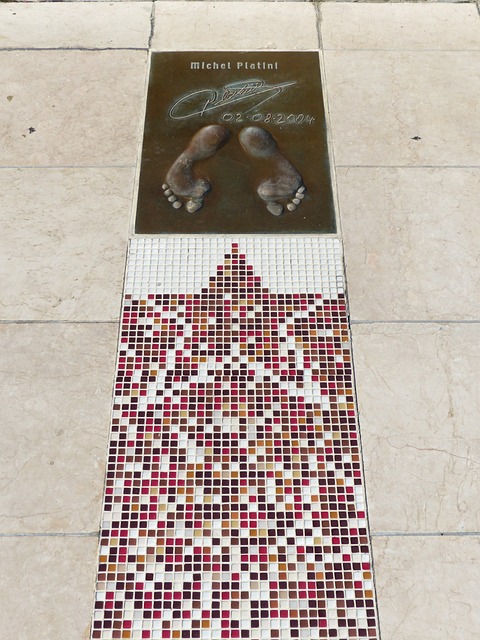 林诗栋展现