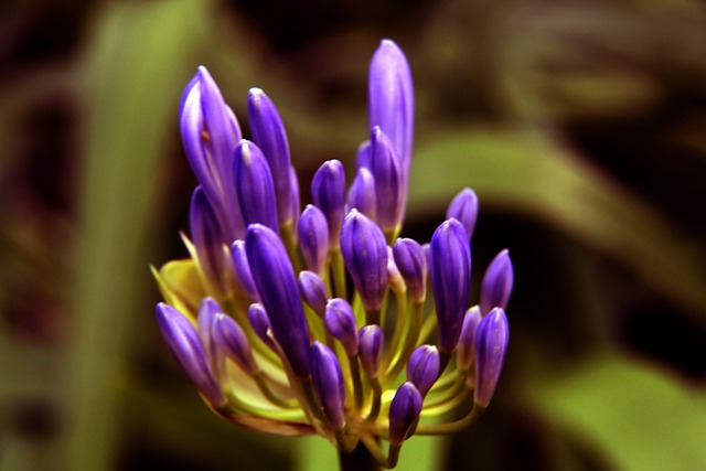 己的三分球 己的三分球