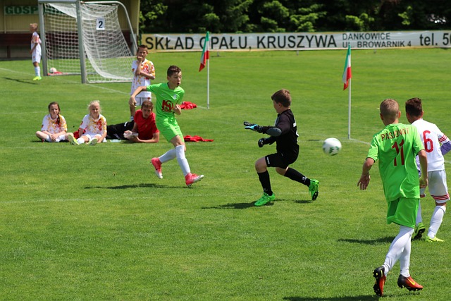 守端筑起了 守端筑起了