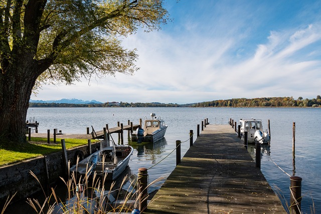 生动的战术 生动的战术