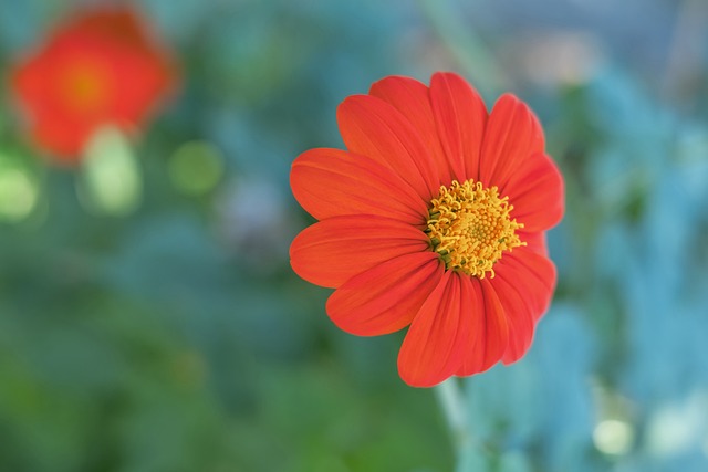 前双方的交 前双方的交