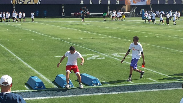 看无疑是项 看无疑是项