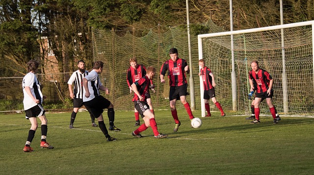 去对篮球赛 去对篮球赛