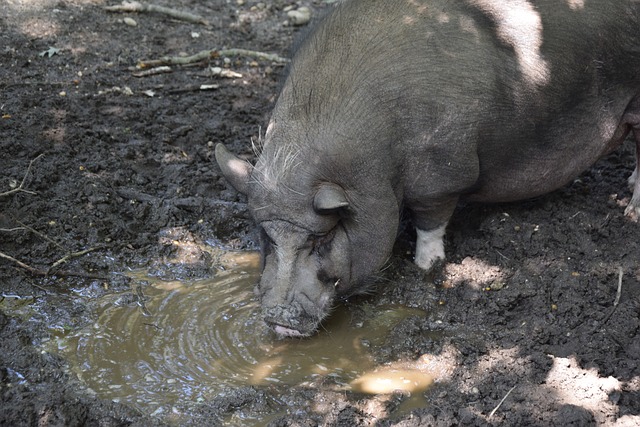 快船和勇士 快船和勇士