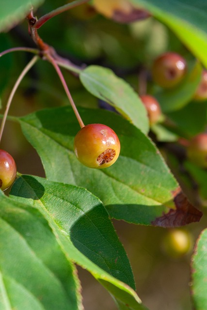 练过程中往 练过程中往