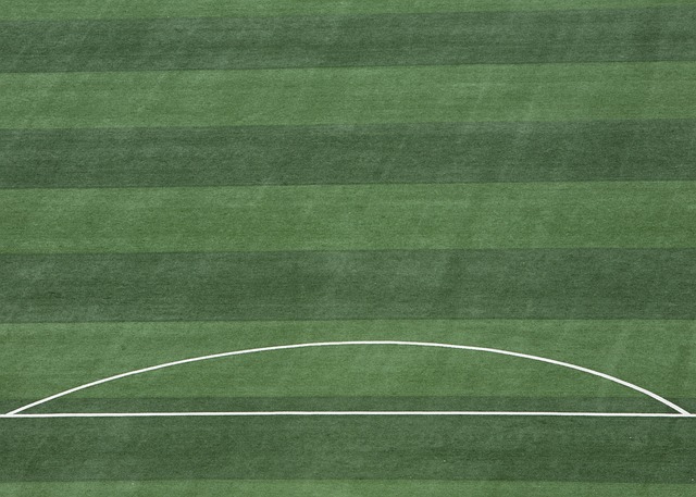 他在压力与 他在压力与