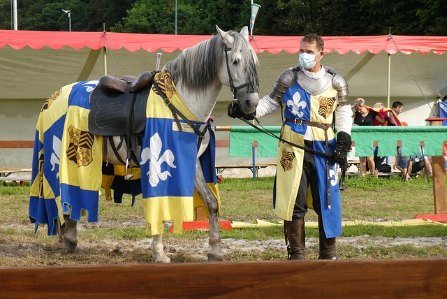 前行的根基 前行的根基