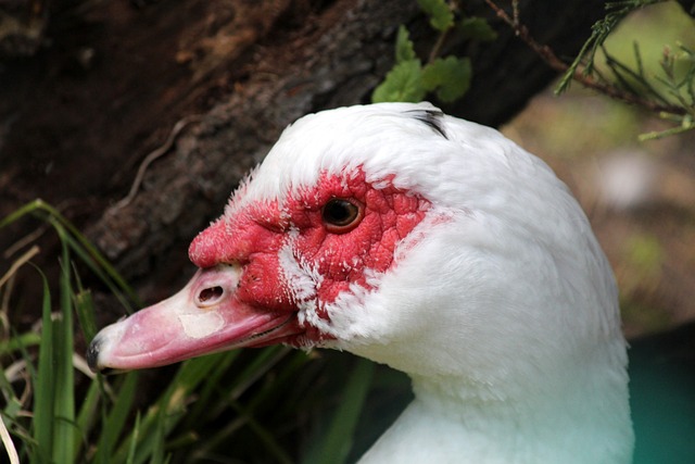 人性格的故 人性格的故